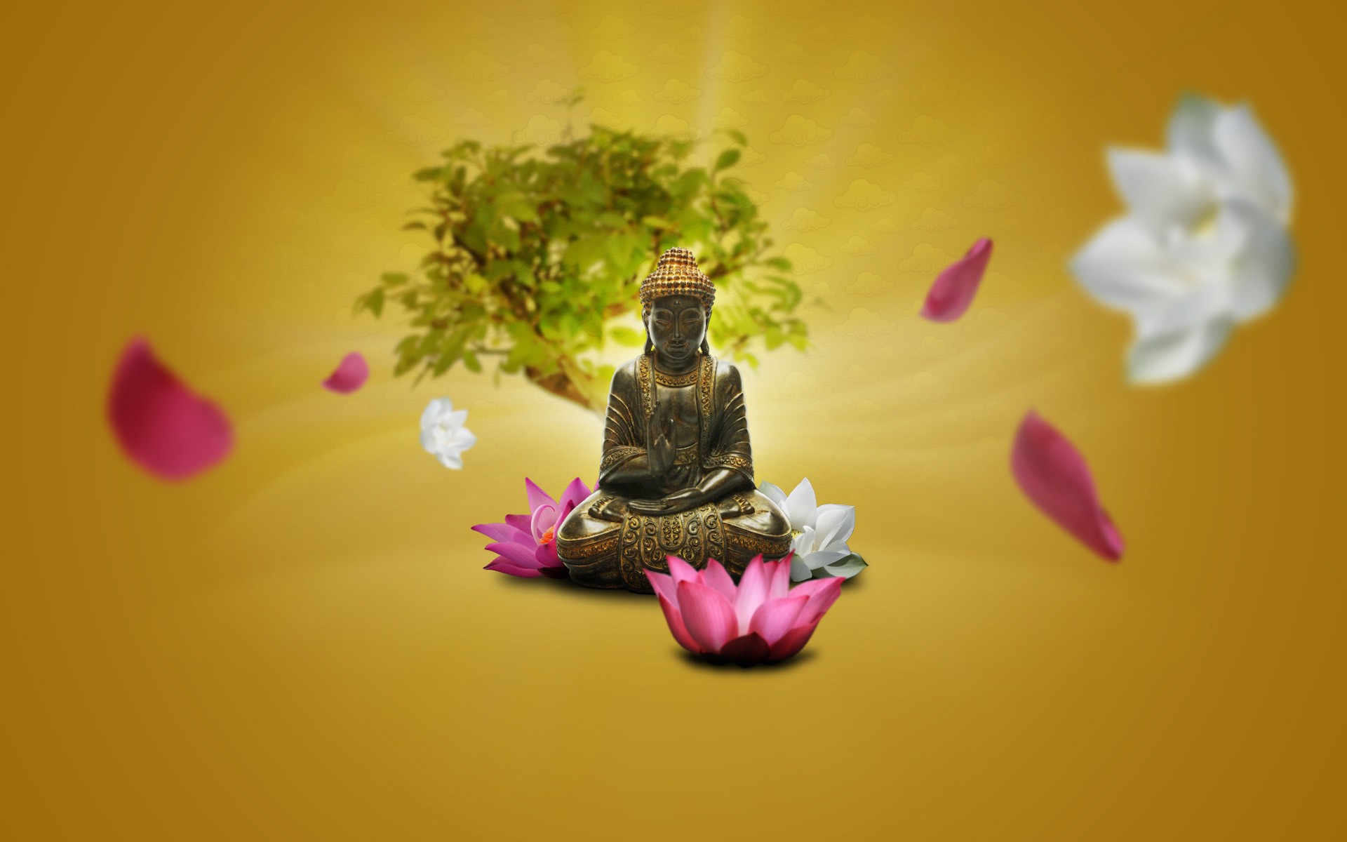 Zen Buddhism Wallpapers