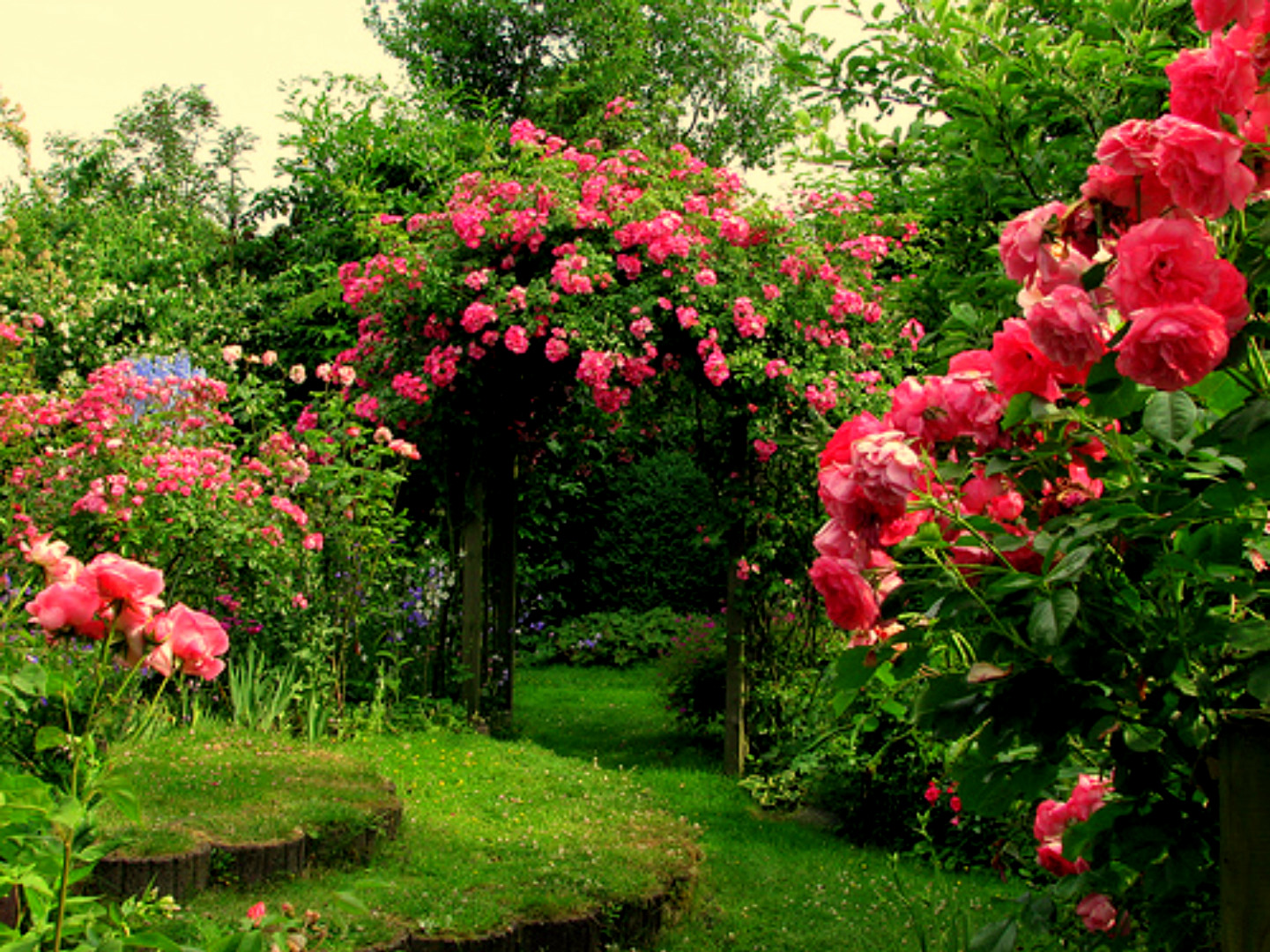 Zen Flower Garden Wallpapers