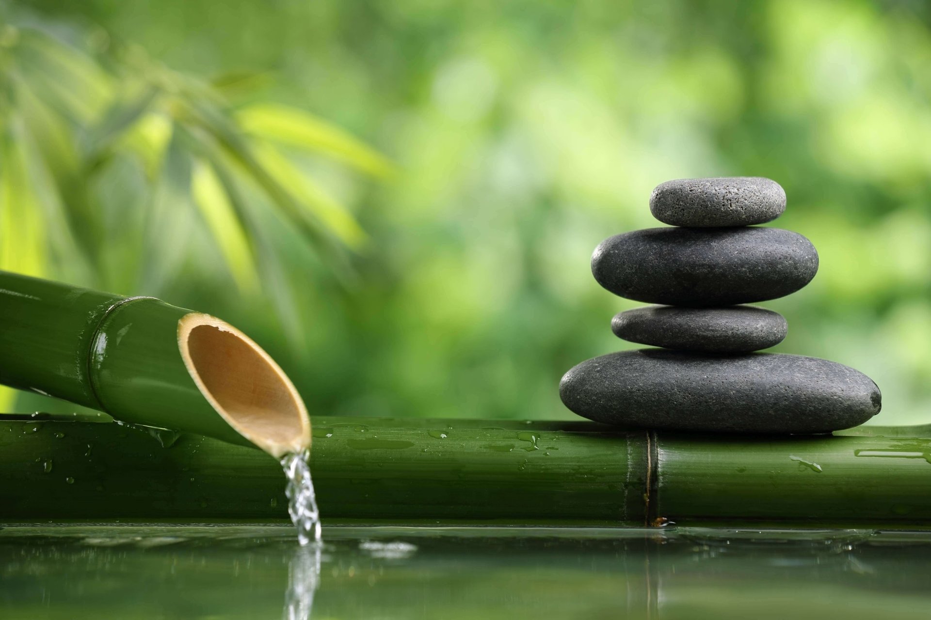 Zen Garden Wallpapers