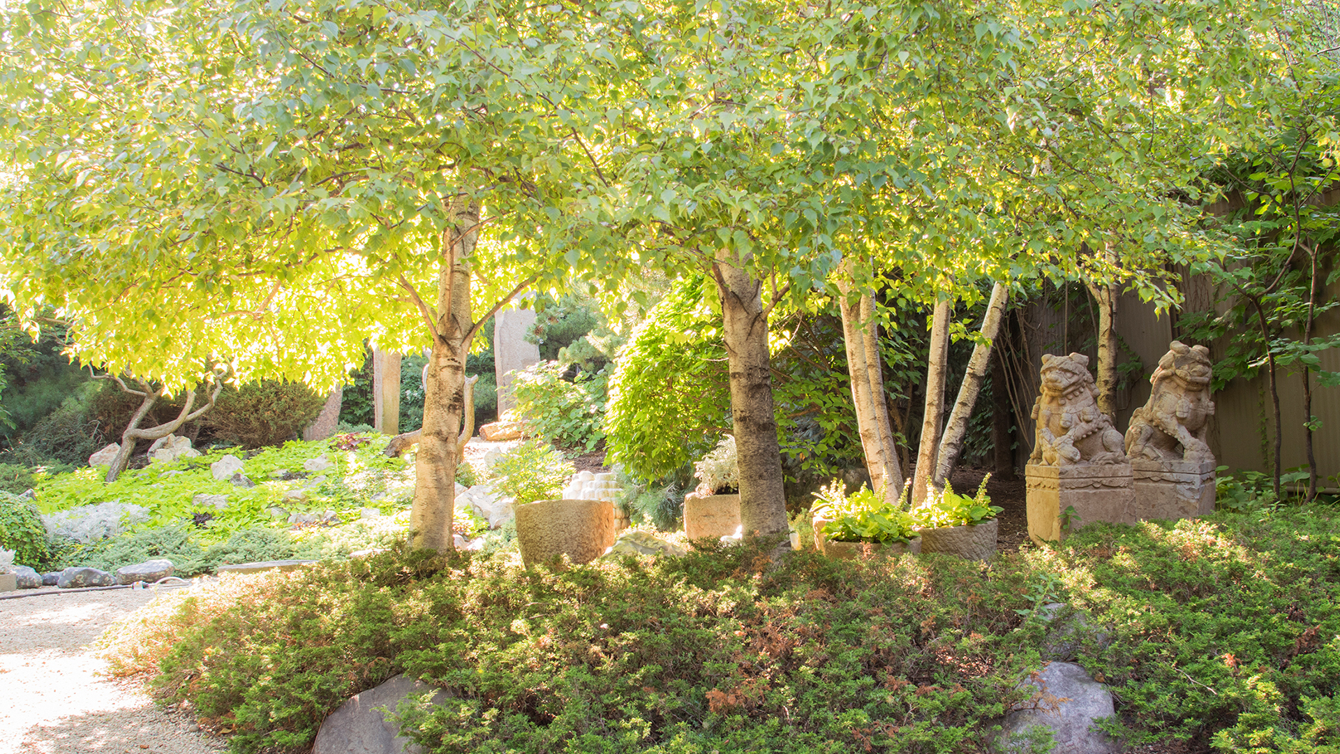 Zen Garden Zoom Background