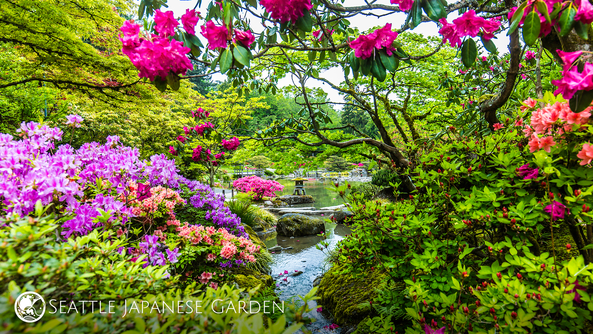 Zen Garden Zoom Background