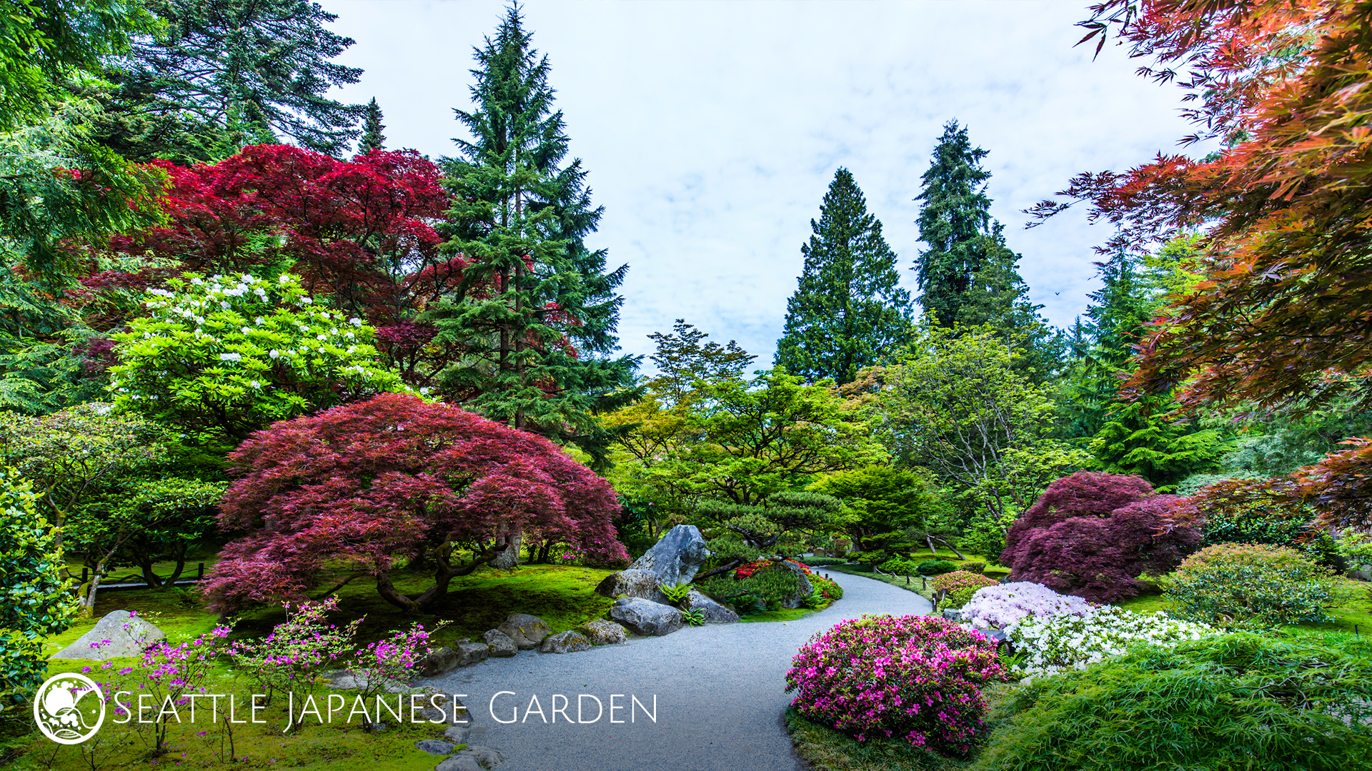 Zen Garden Zoom Background