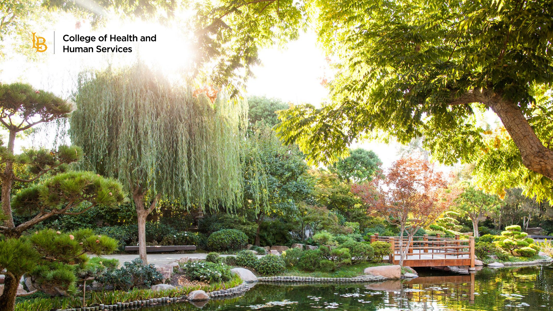 Zen Garden Zoom Background