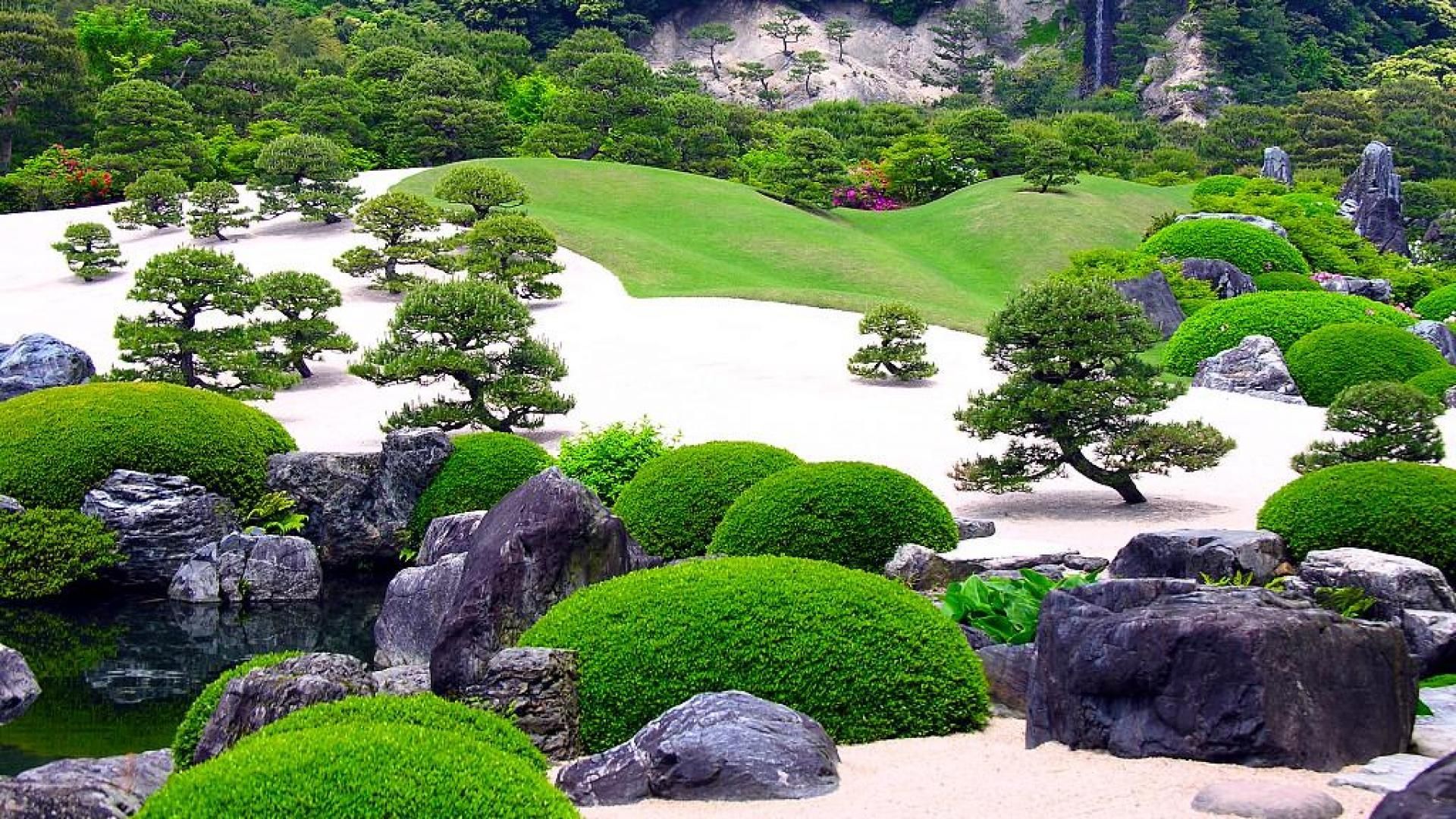 Zen Garden Zoom Background