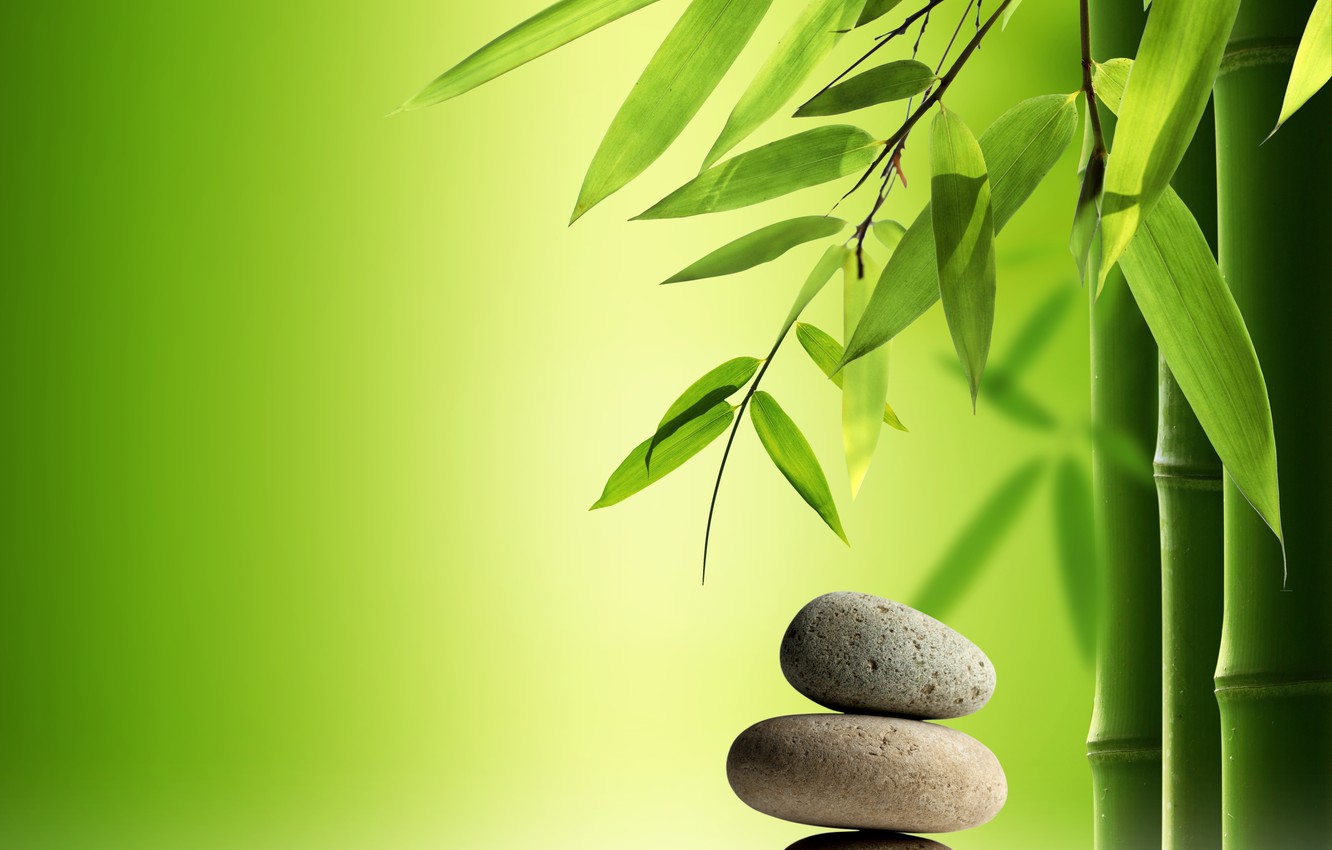 Zen Nature Wallpapers