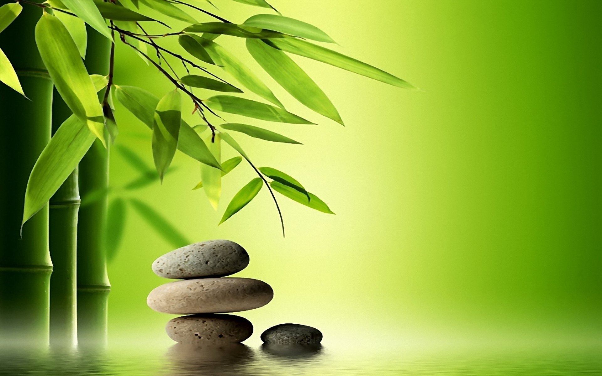 Zen Nature Wallpapers