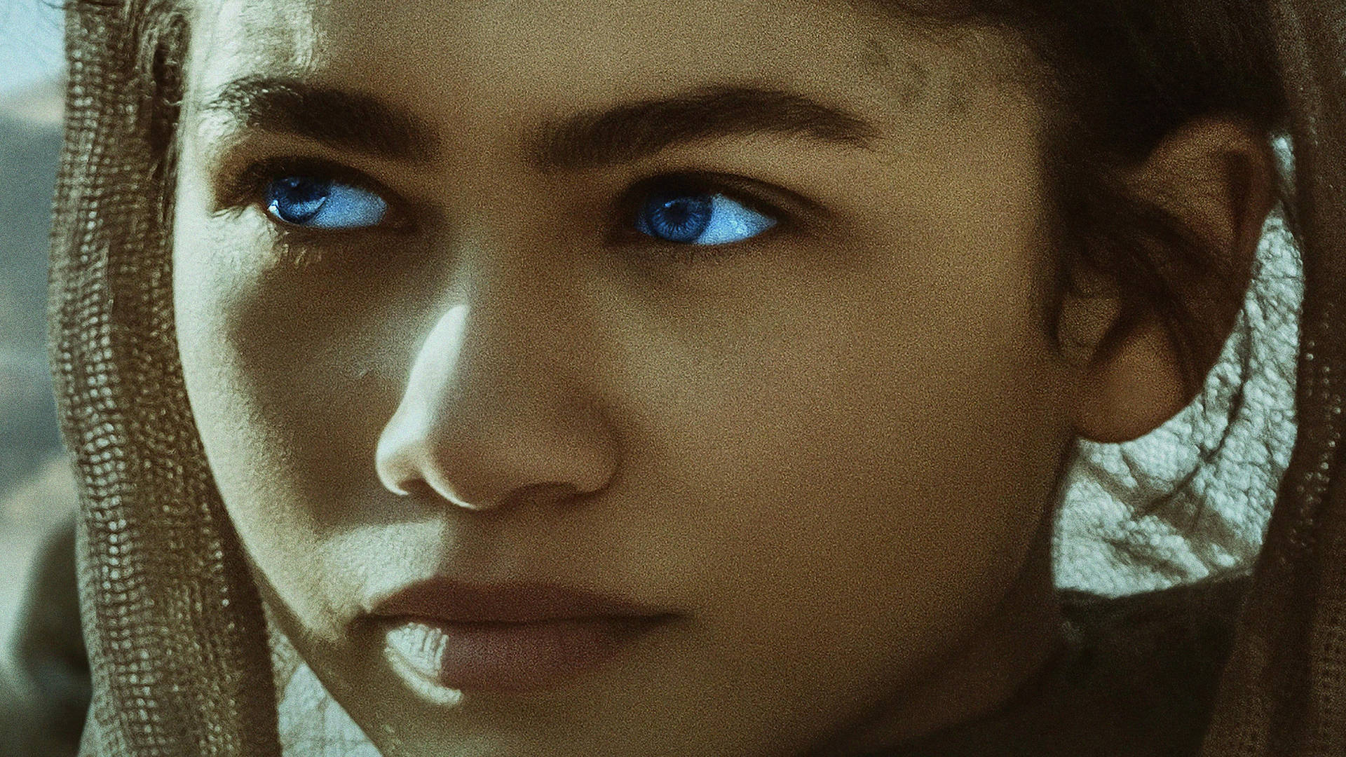 Zendaya Portrait 2021 Wallpapers