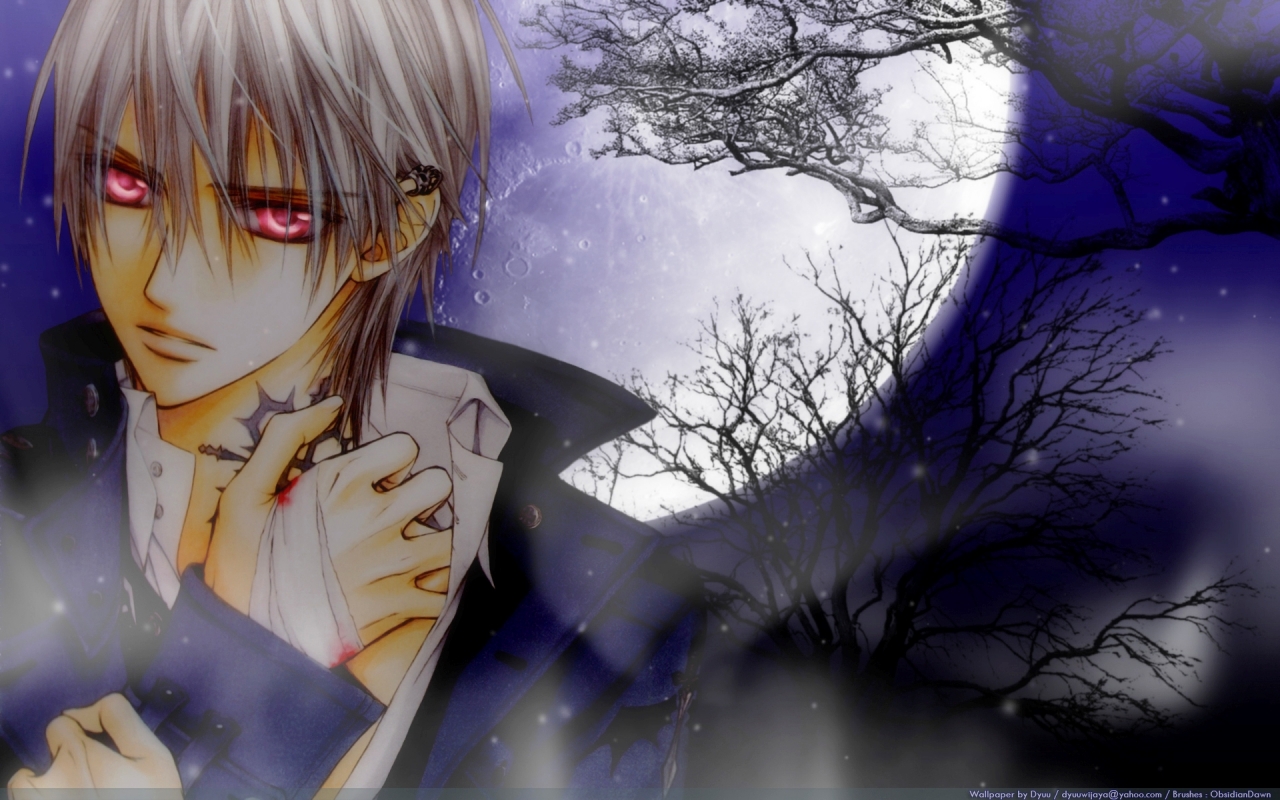 Zero Vampire Knight Wallpapers