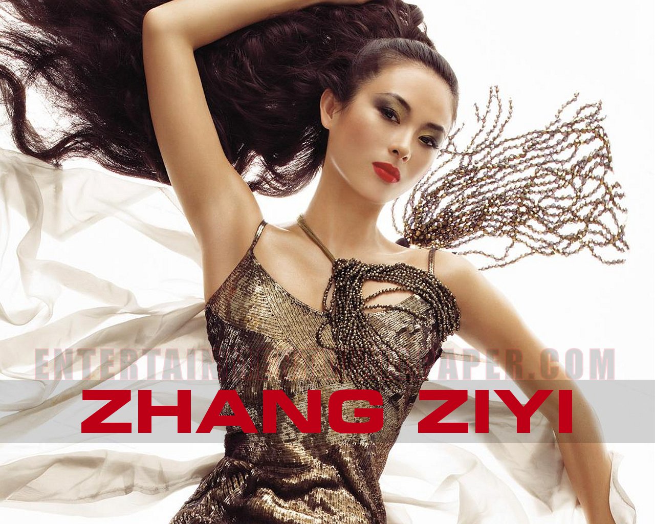 Zhang Ziyi Wallpapers