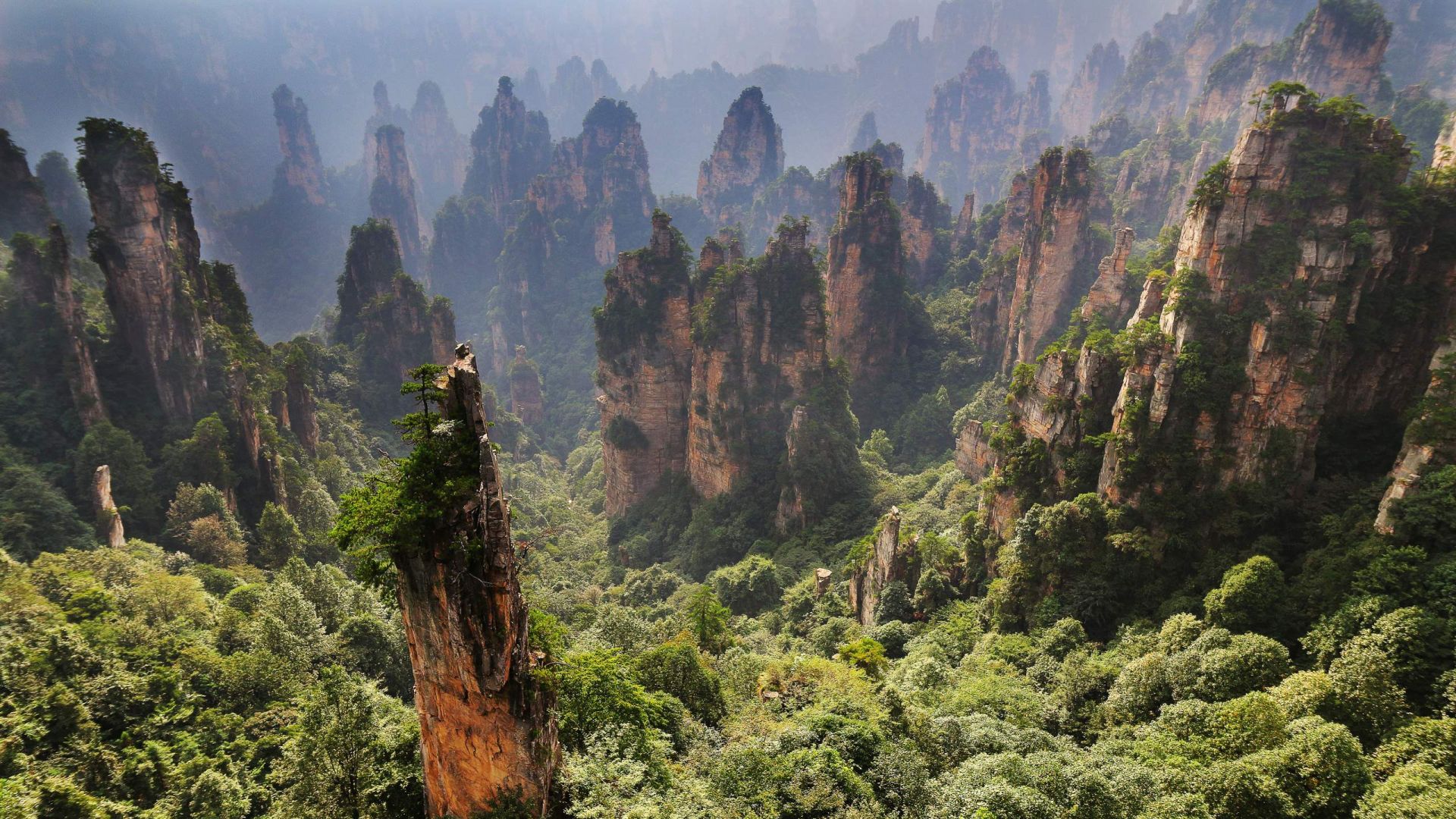 Zhangjiajie National Forest Park Wallpapers