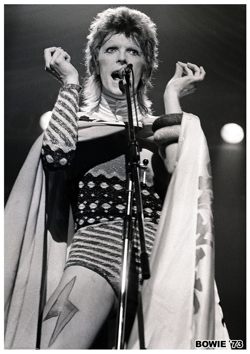 Ziggy Stardust Wallpapers