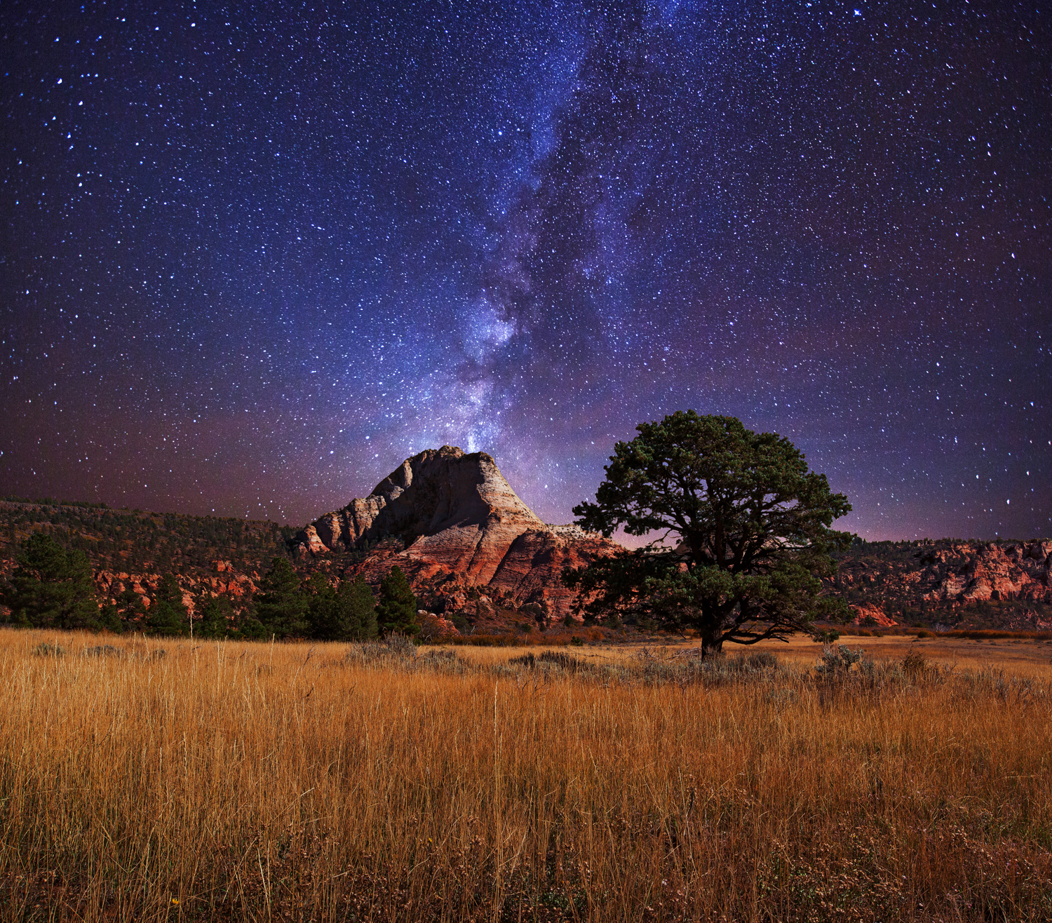 Zion National Park Evening Wallpapers