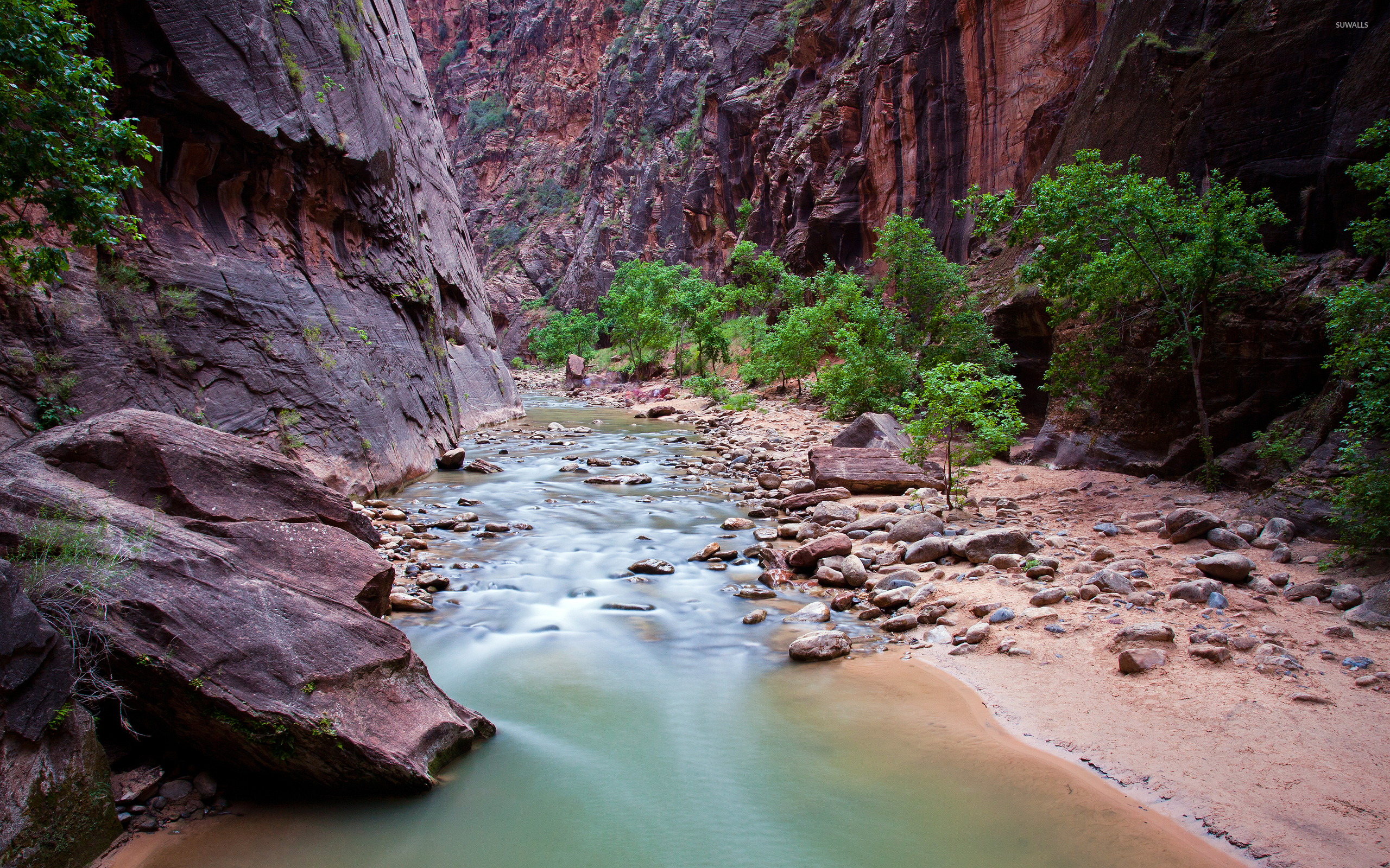 Zion National Park Wallpapers