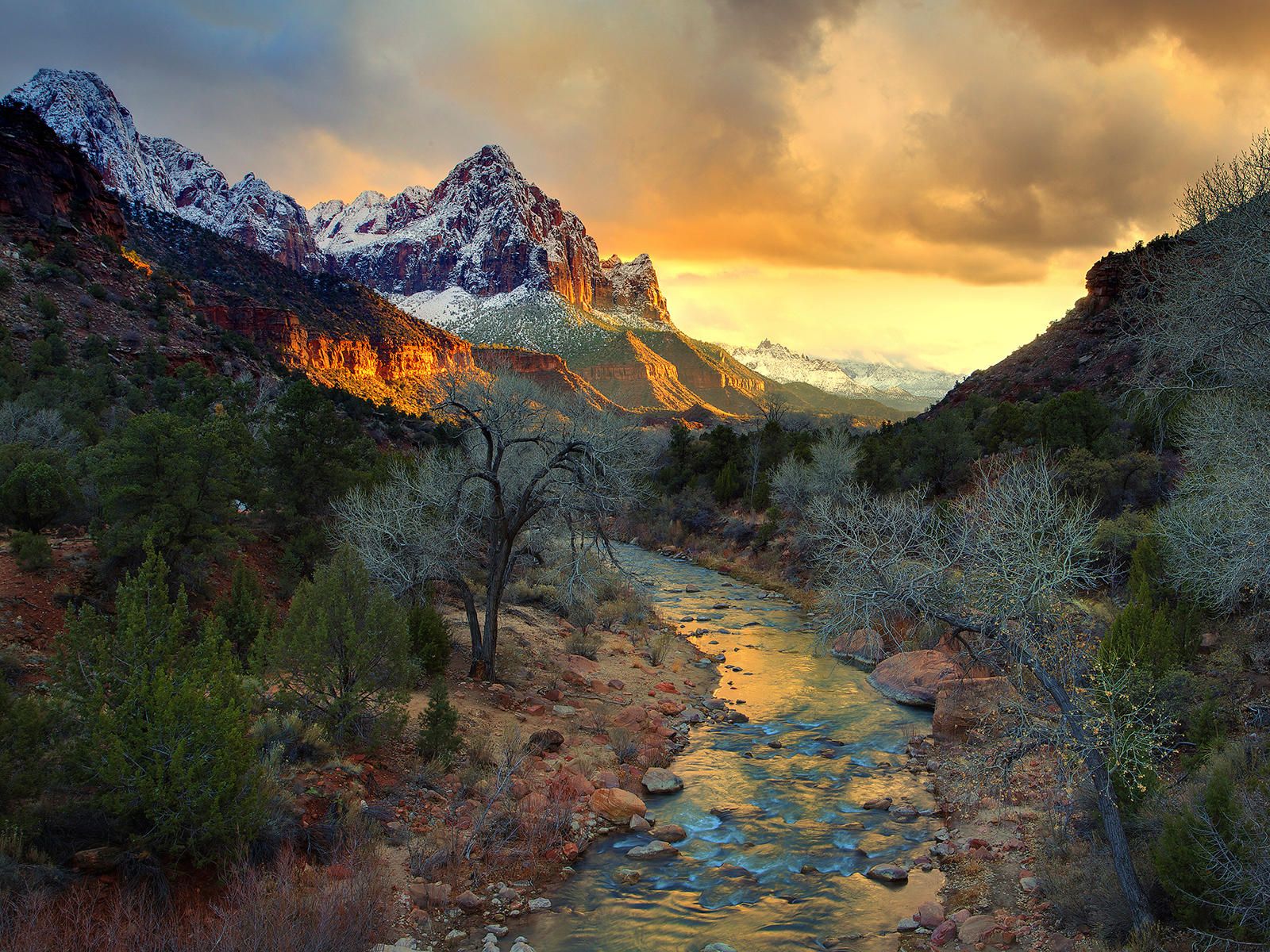 Zion National Park Wallpapers