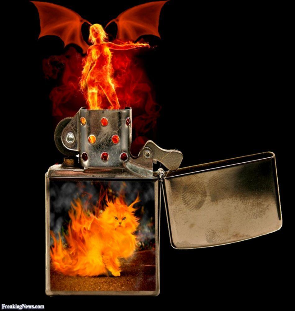 Zippo Wallpapers