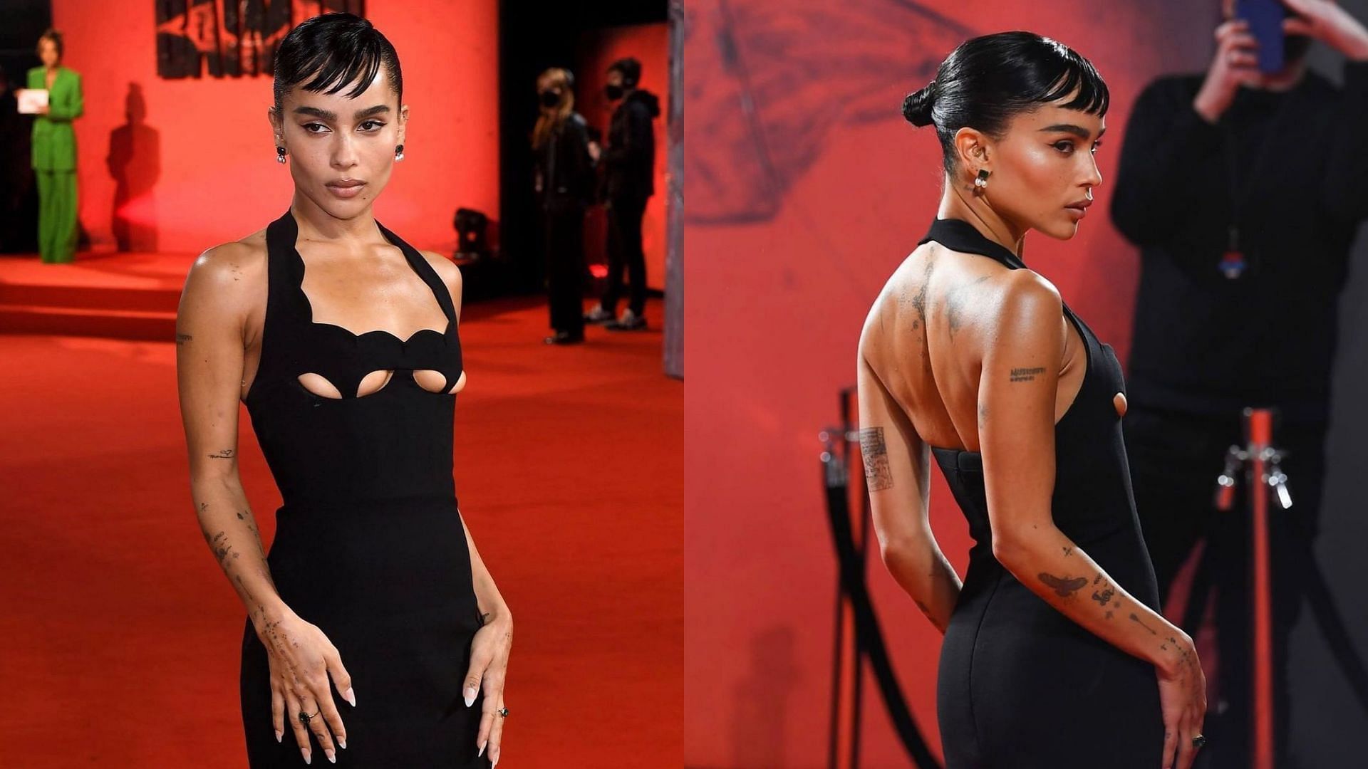 Zoe Kravitz With Cat Wallpapers