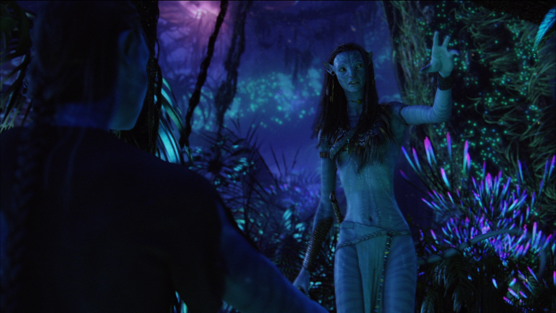 Zoe Saldana As Neytiri In Avatar Wallpapers