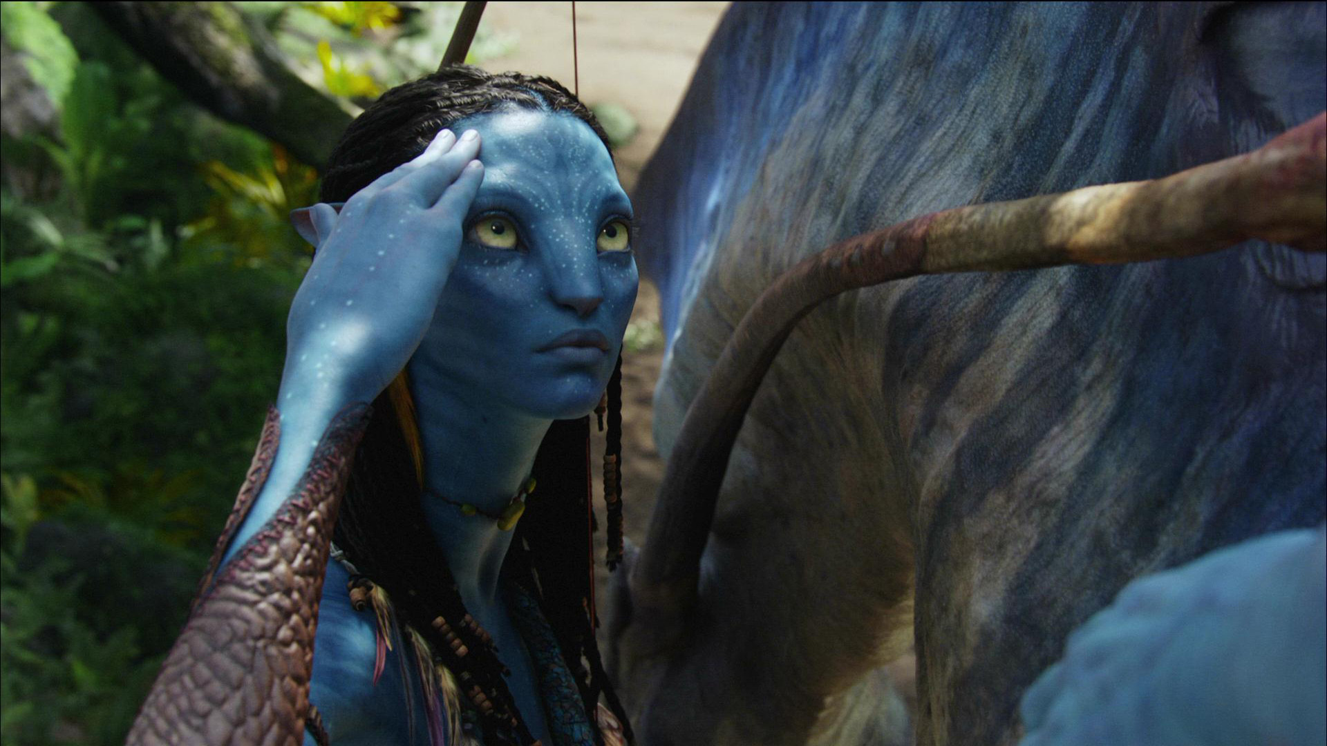 Zoe Saldana As Neytiri In Avatar Wallpapers