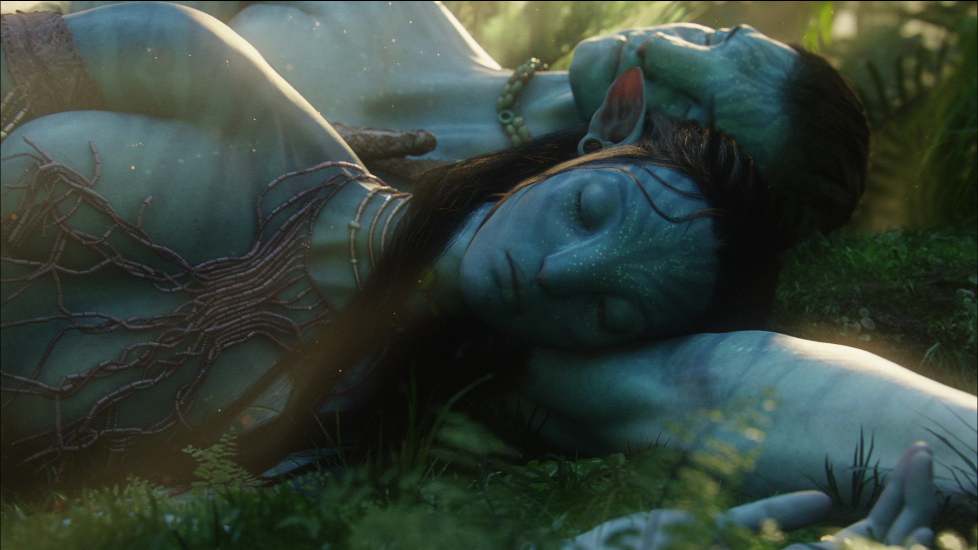 Zoe Saldana As Neytiri In Avatar Wallpapers