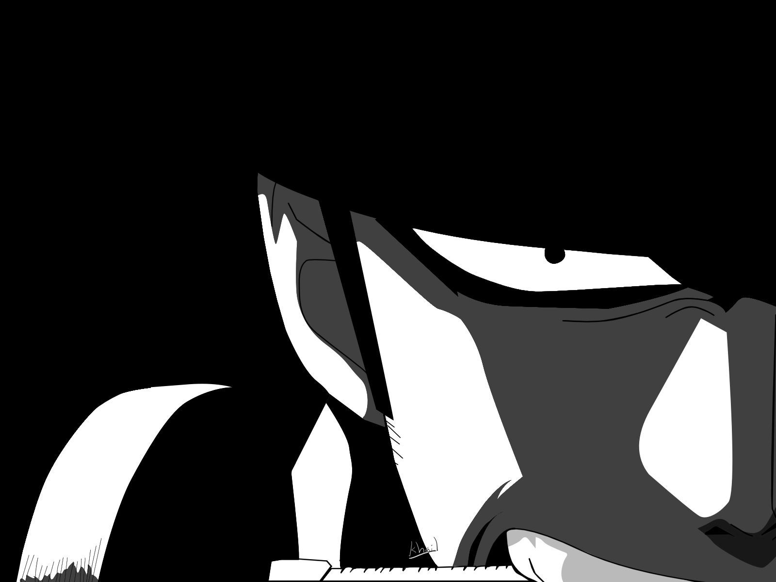 Zoro Black And White Wallpapers