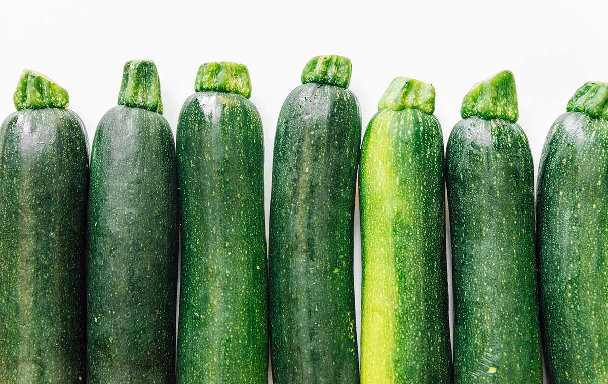 Zucchini Wallpapers