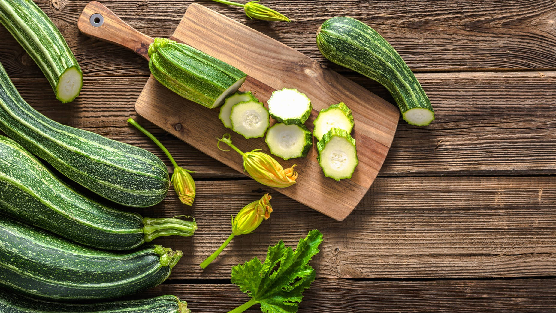 Zucchini Wallpapers